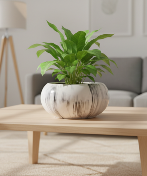 Wide Bowl Indoor Ceramic Pot