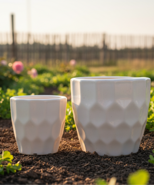 Minimal White Designer Ceramic Pot Set