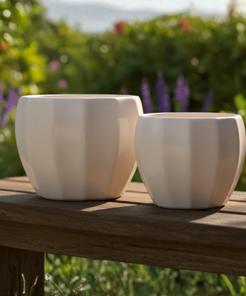 Minimal White Indoor Ceramic Pot Pair