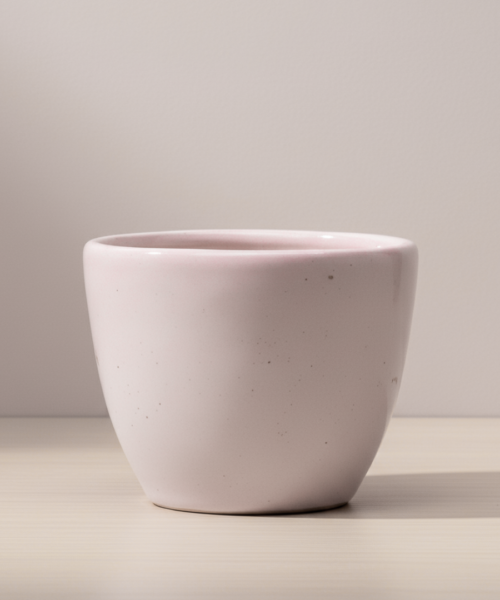 Mini Succulent Ceramic Pot Planter