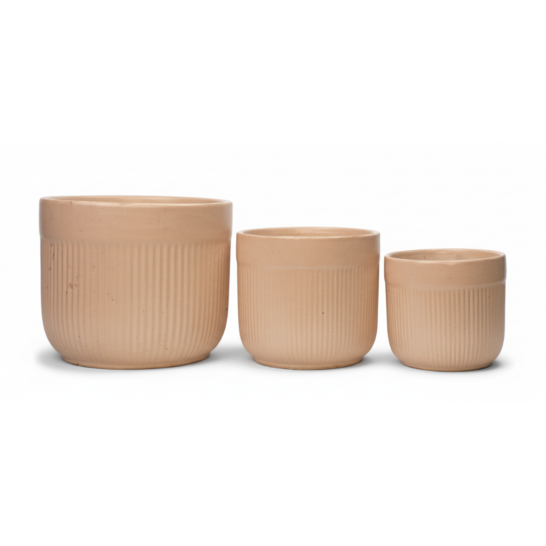 Minimal Matte Indoor Ceramic Pot Set - Image 2