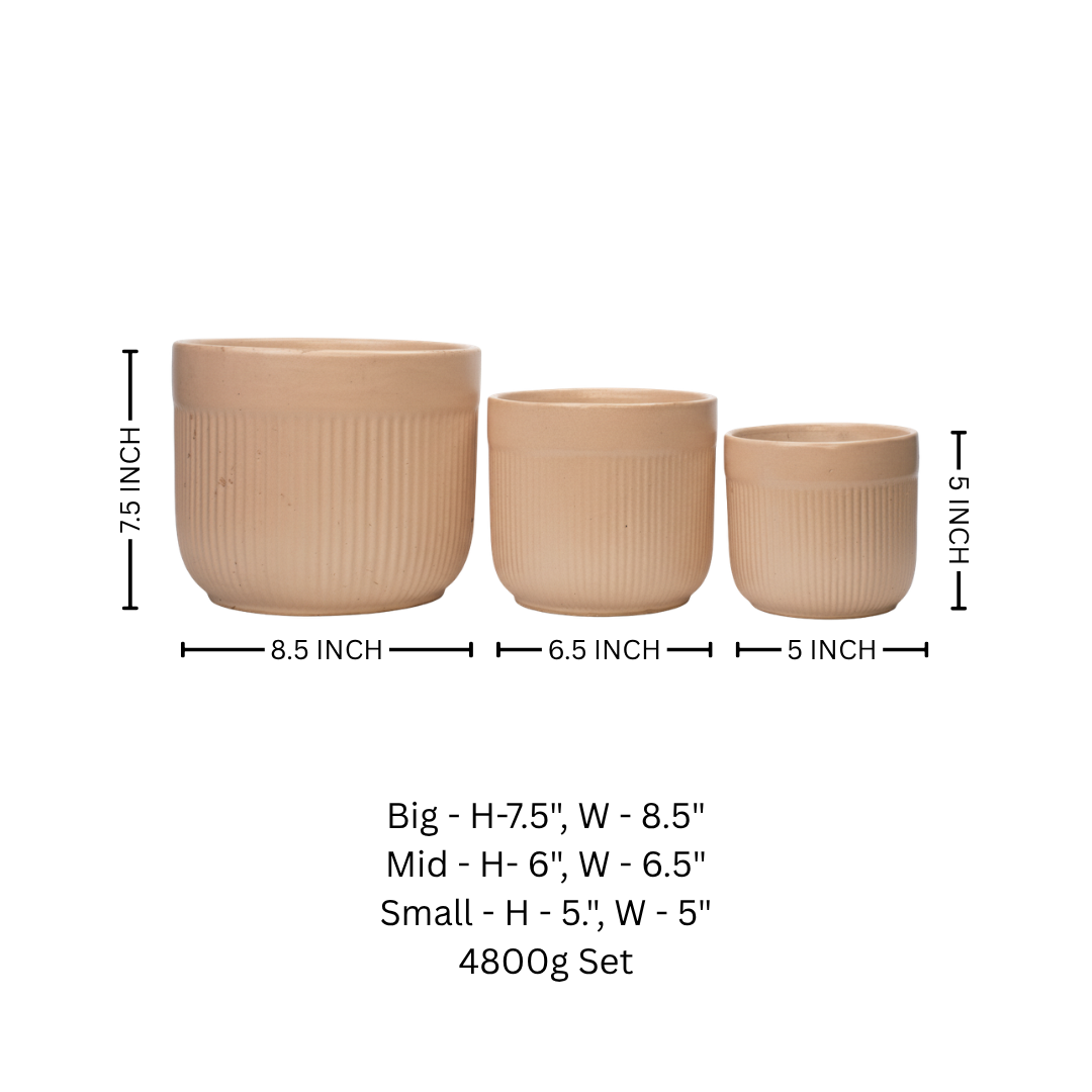 Minimal Matte Indoor Ceramic Pot Set - Image 3