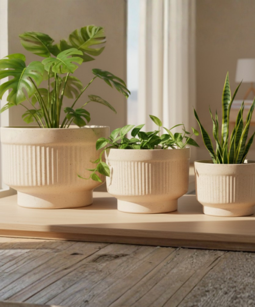 Compact Indoor Ceramic Pot Set