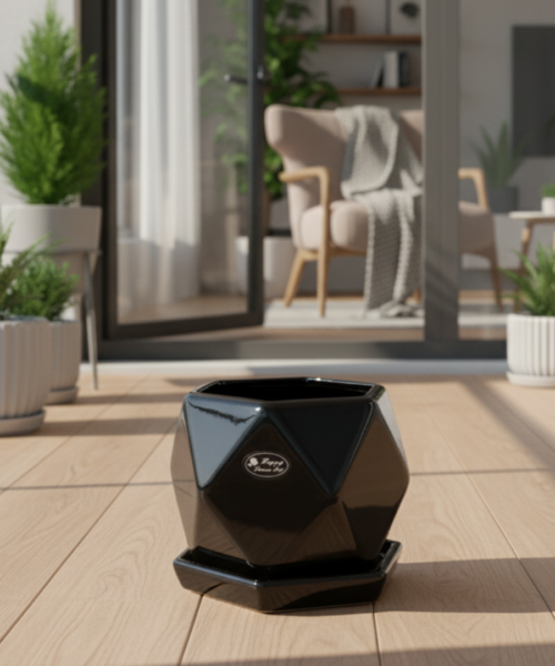 Geometric Designer Ceramic Pot