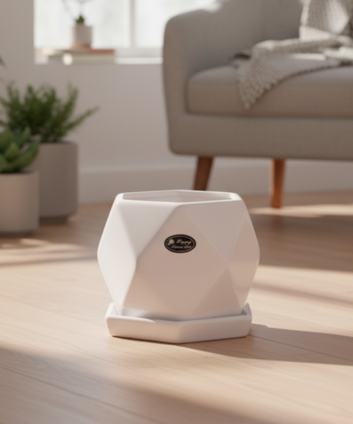 Minimal Hexagon White Ceramic Pot